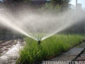 Полив участка сегодня: основные системы