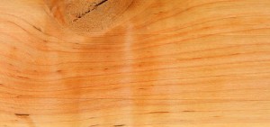 Баня по финской технологии