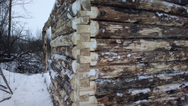 Баня из осины плюсы и минусы Баня из осины плюсы и минусы