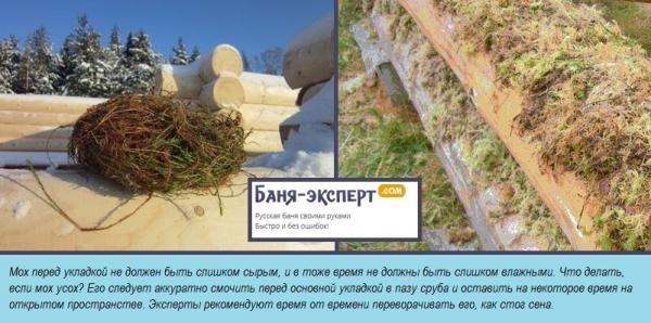 Как конопатить сруб