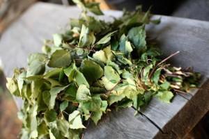 Как запарить веник для бани Как запарить веник для бани