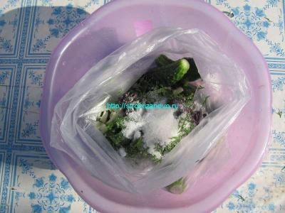 Рецепты маринованных огурцов
Рецепты маринованных огурцов