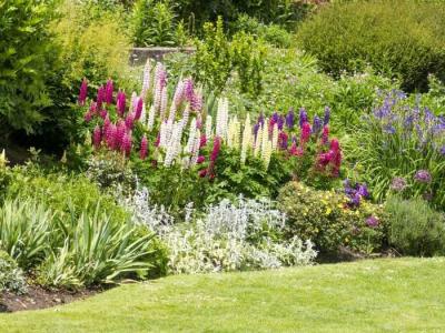 Сад в природном стиле
Сад в природном стиле