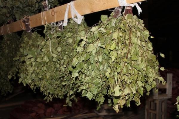 Как правильно сушить веники для бани Как правильно сушить веники для бани