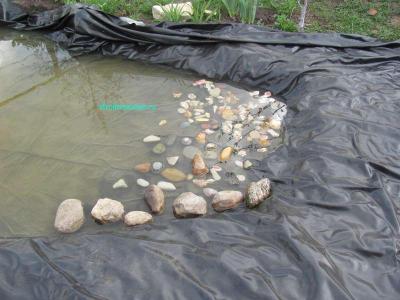 Пруд своими руками
Пруд своими руками