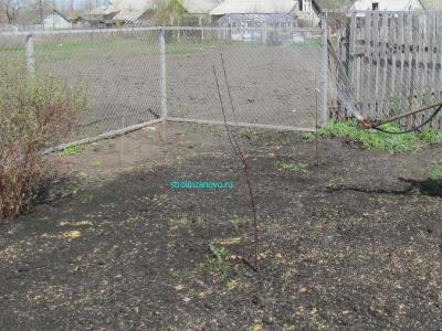  
Газон своими руками