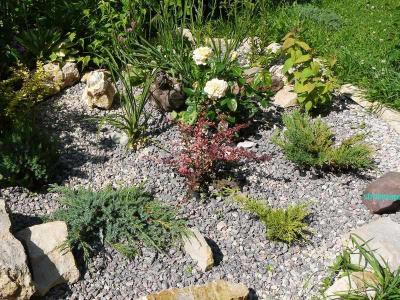 Ландшафтный дизайн участка
Ландшафтный дизайн участка