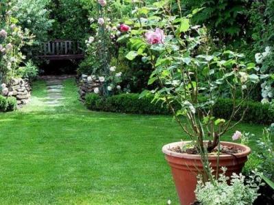 Дизайн садового участка
Дизайн садового участка