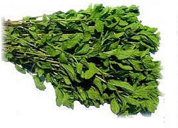 Какие бывают веники для бани Какие бывают веники для бани