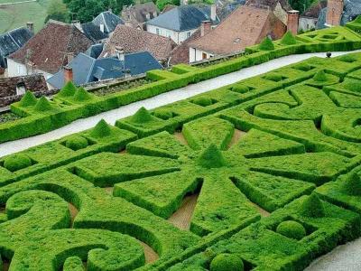  
Топиари – искусство фигурной стрижки растений