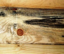 Пропитка для бани внутри — как выбрать и разновидности Пропитка для бани внутри — как выбрать и разновидности