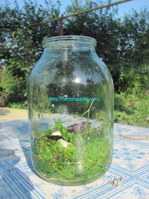 Рецепты маринованных огурцов
Рецепты маринованных огурцов