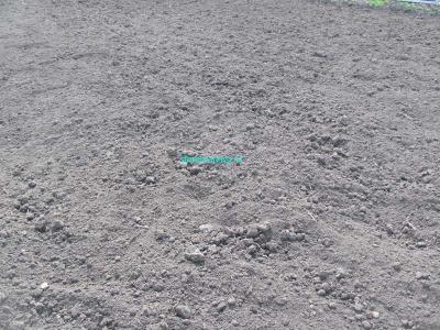  
Газон своими руками