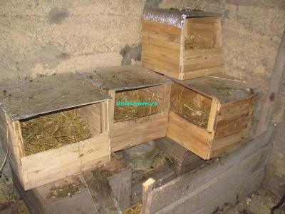 Гнёзда для кур своими руками
Гнёзда для кур своими руками