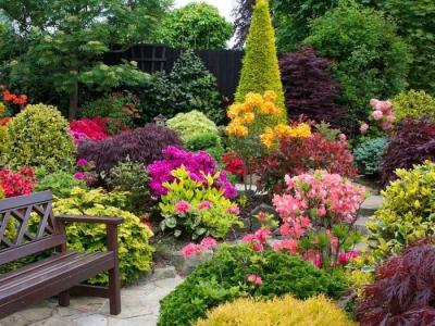 Дизайн садового участка
Дизайн садового участка