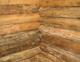 Пропитка для бани внутри — как выбрать и разновидности Пропитка для бани внутри — как выбрать и разновидности