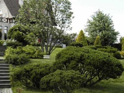 Дизайн садового участка
Дизайн садового участка