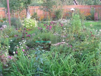 Ландшафтный дизайн своими руками
Ландшафтный дизайн своими руками