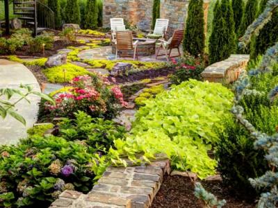 Дизайн садового участка
Дизайн садового участка