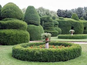  
Топиари – искусство фигурной стрижки растений