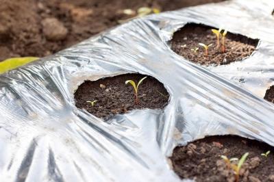 Укрывной материал для грядок