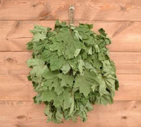 Какие бывают веники для бани Какие бывают веники для бани