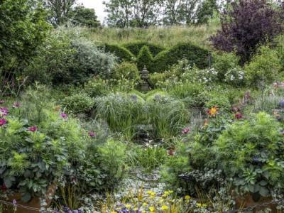 Сад в природном стиле
Сад в природном стиле