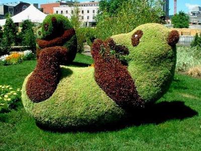  
Топиари – искусство фигурной стрижки растений