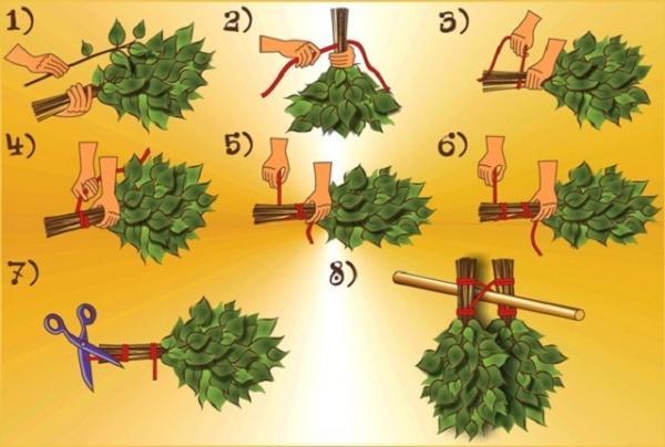Какие бывают веники для бани Какие бывают веники для бани