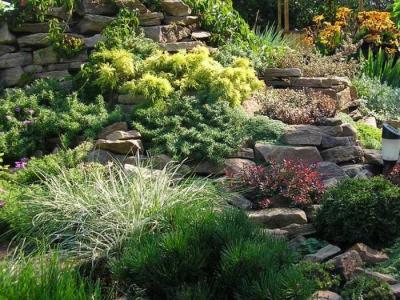 Дизайн садового участка
Дизайн садового участка