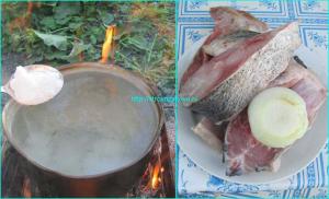  
Уха двойная