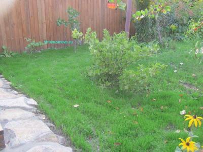 Ландшафтный дизайн своими руками
Ландшафтный дизайн своими руками