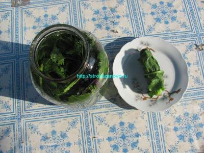 Рецепты маринованных огурцов
Рецепты маринованных огурцов