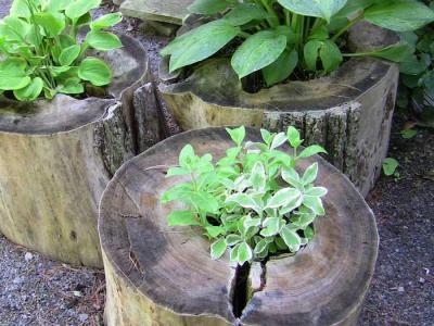  
Рутарий своими руками