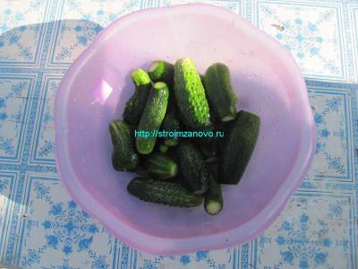 Рецепты маринованных огурцов
Рецепты маринованных огурцов