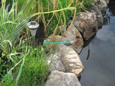 Как сделать пруд на даче
Как сделать пруд на даче