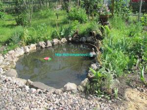 Как сделать пруд на даче
Как сделать пруд на даче