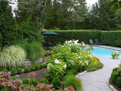 Дизайн садового участка
Дизайн садового участка