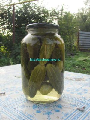 Рецепты маринованных огурцов
Рецепты маринованных огурцов