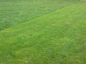 Устройство газона
Устройство газона