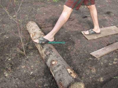  
Газон своими руками