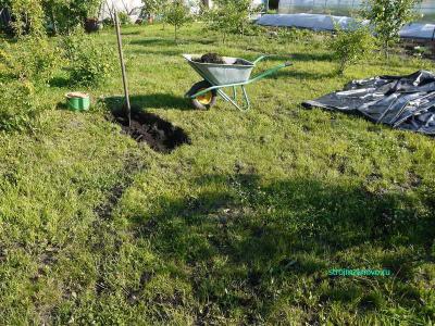 Пруд на даче
Пруд на даче