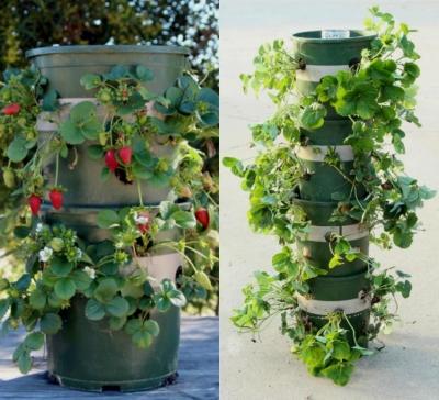 Высокие грядки на даче своими руками: фото и технология изготовления Высокие грядки на даче своими руками: фото и технология изготовления