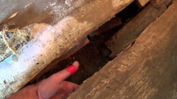 Пропитка для бани внутри — как выбрать и разновидности Пропитка для бани внутри — как выбрать и разновидности