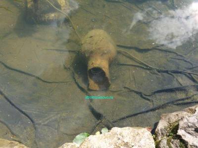 Пруд своими руками
Пруд своими руками