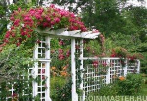 Перголы в ландшафтном дизайне Перголы в ландшафтном дизайне