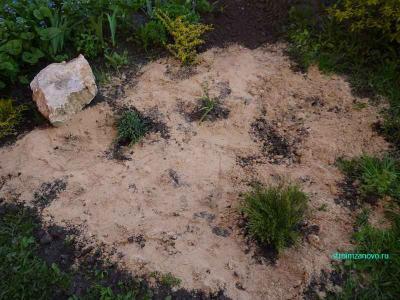 Ландшафтный дизайн участка
Ландшафтный дизайн участка