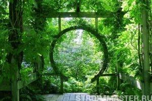 Перголы в ландшафтном дизайне Перголы в ландшафтном дизайне