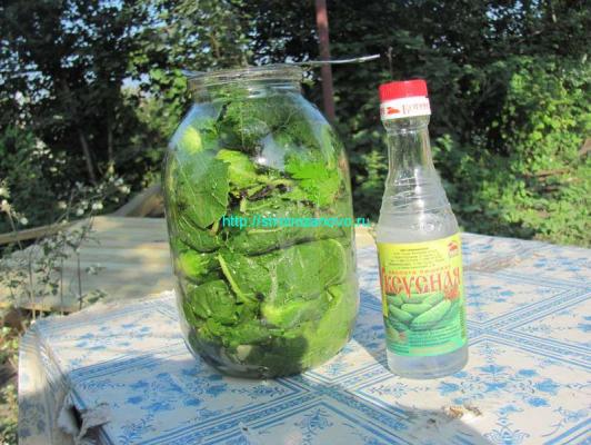 Рецепты маринованных огурцов
Рецепты маринованных огурцов