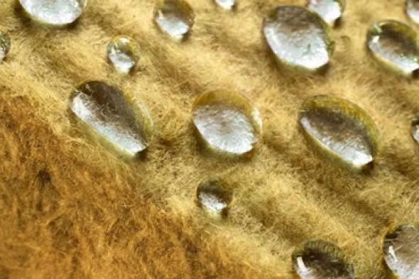 Подшивной потолок в бане Подшивной потолок в бане